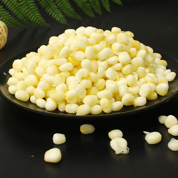 玉米胚芽浸出工程