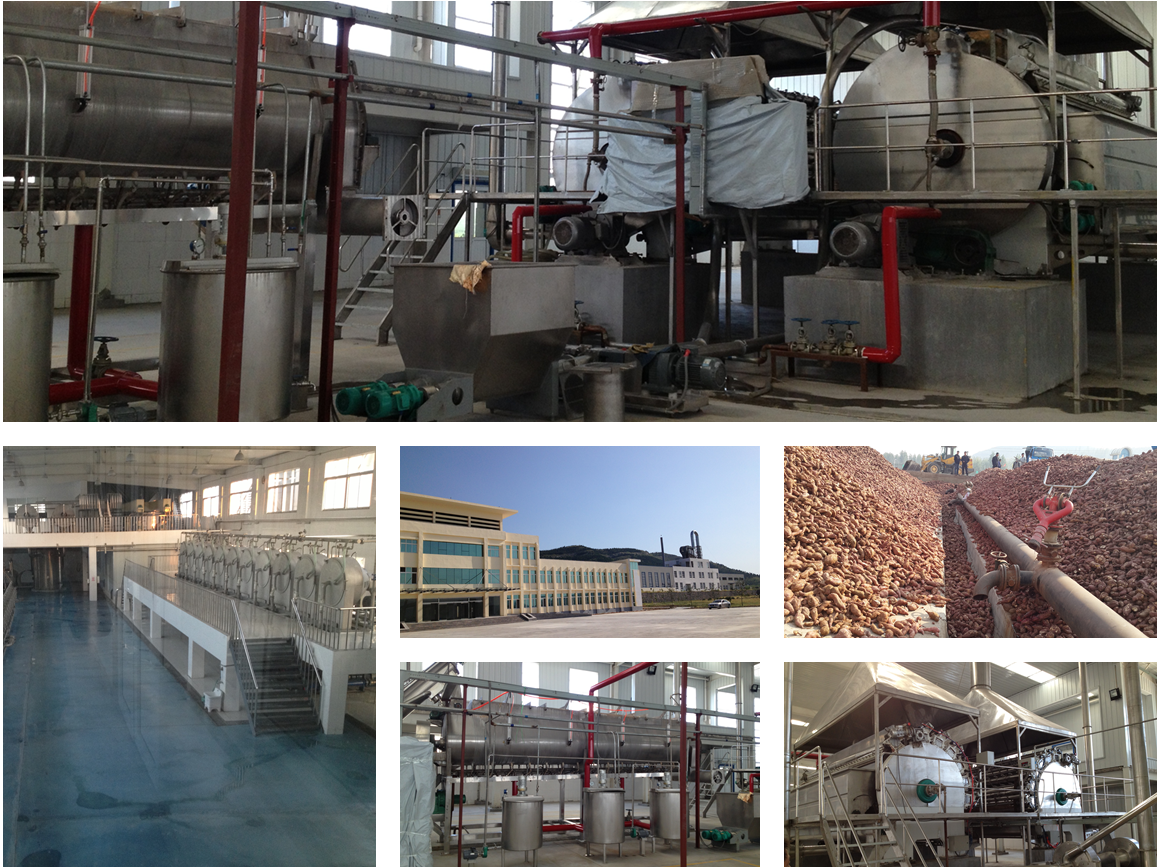 红薯淀粉生产方案